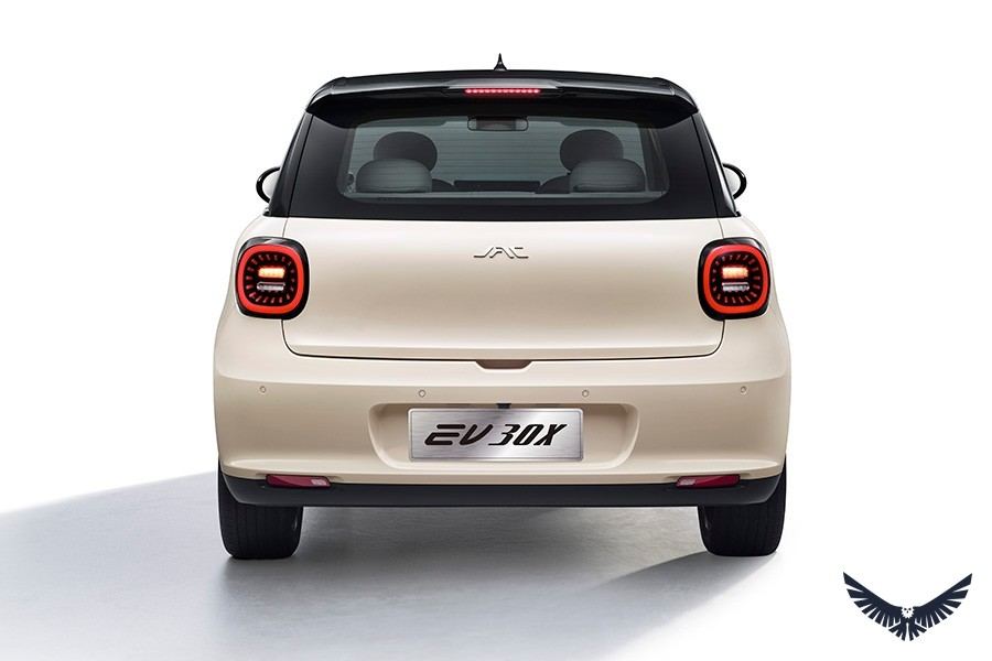 JAC EV 30X foto 5