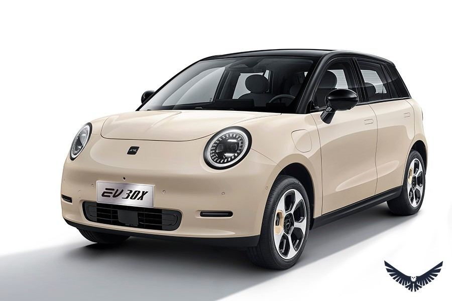 JAC EV 30X foto 6