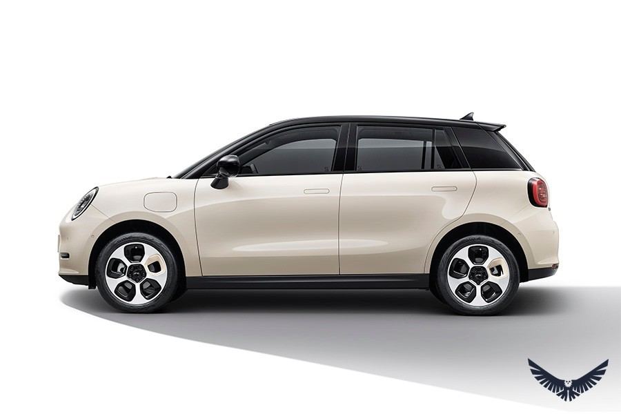 JAC EV 30X foto 7