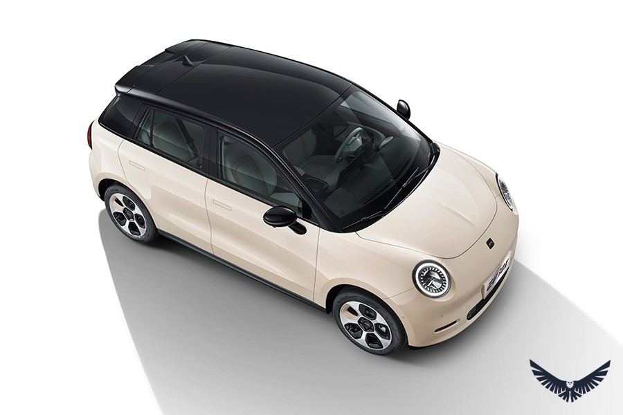 JAC EV 30X foto 9