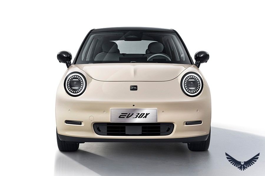 JAC EV 30X foto 10