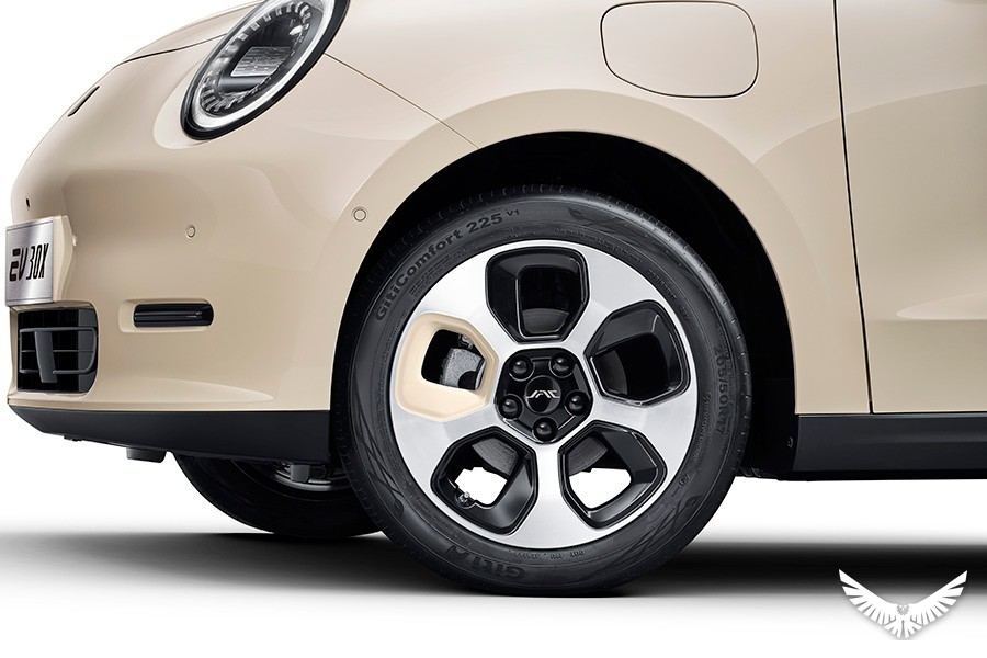 JAC EV 30X foto 11